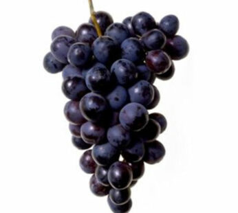Grapes Black 250g Approx Weight