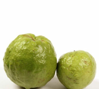 Guava (pera) 500g Approx Weight