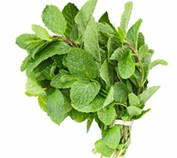 Mint Leaves 200g Approx Weight