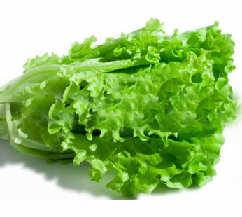 Lettuce  Leaves Green (salad) 200g Approx Weight