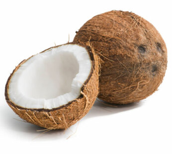 Large Coconut Each